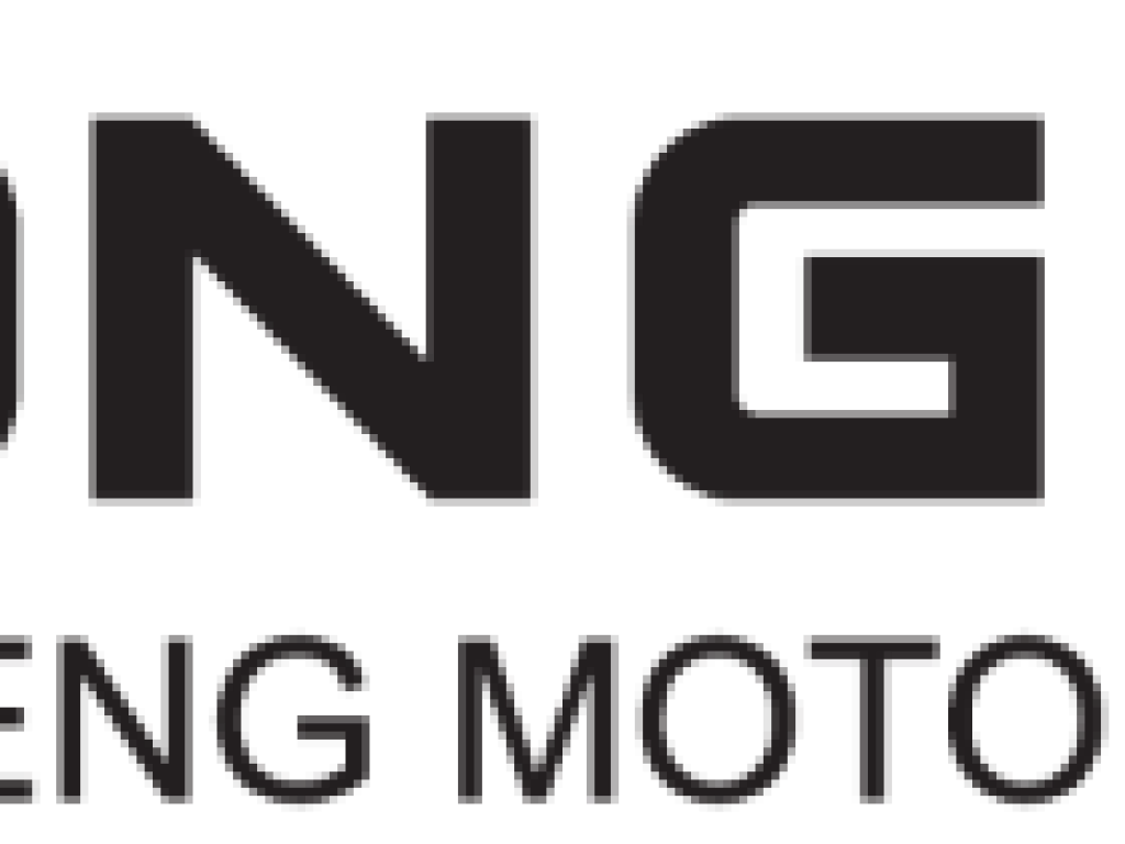 Логотип dongfeng png