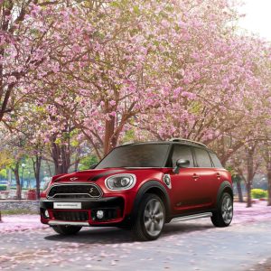 MINI Countryman SE
