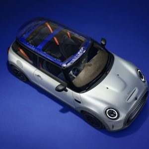 MINI Strip