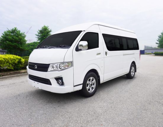 Go Auto-Higer E1