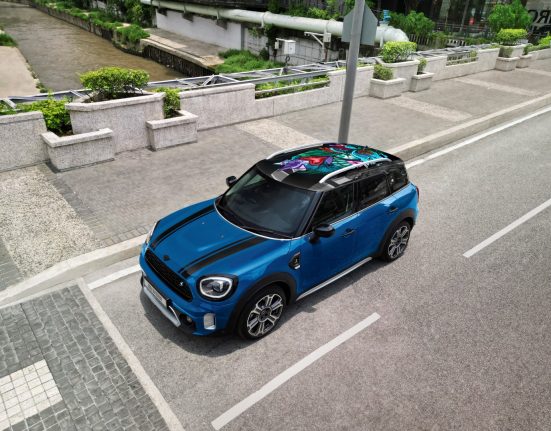 MINI Countryman Roof Art Edition