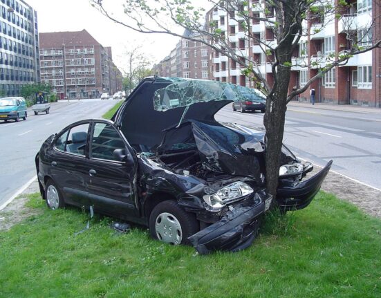 PIAM insurance